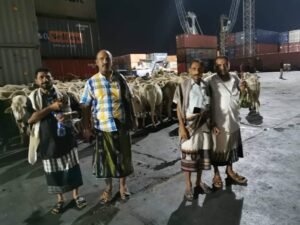 whatsapp image 2026 02 24 at 12.46.54 am