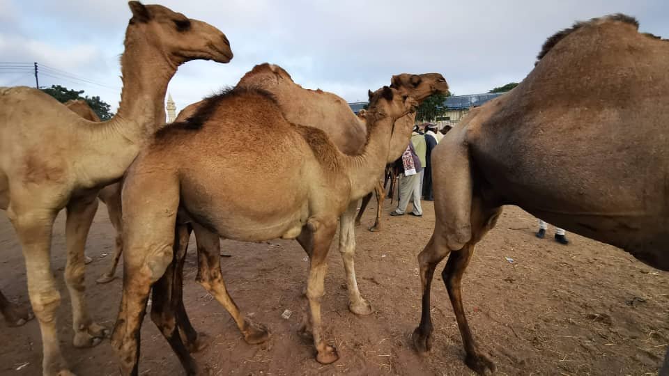 whatsapp image 2026 02 24 at 12.48.02 am