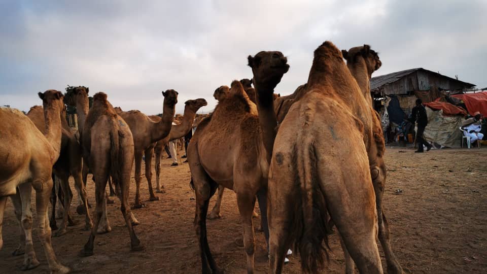 whatsapp image 2026 02 24 at 12.48.07 am