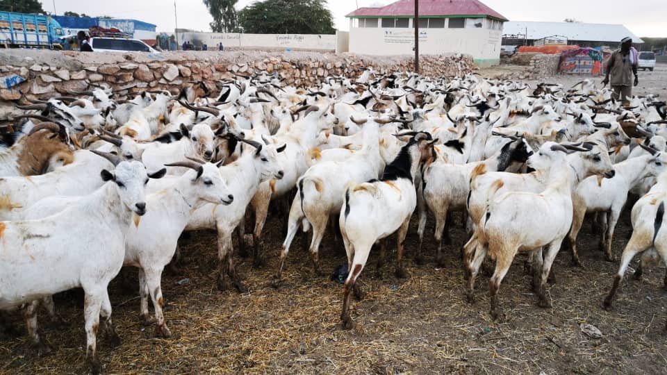 whatsapp image 2026 02 24 at 12.48.08 am