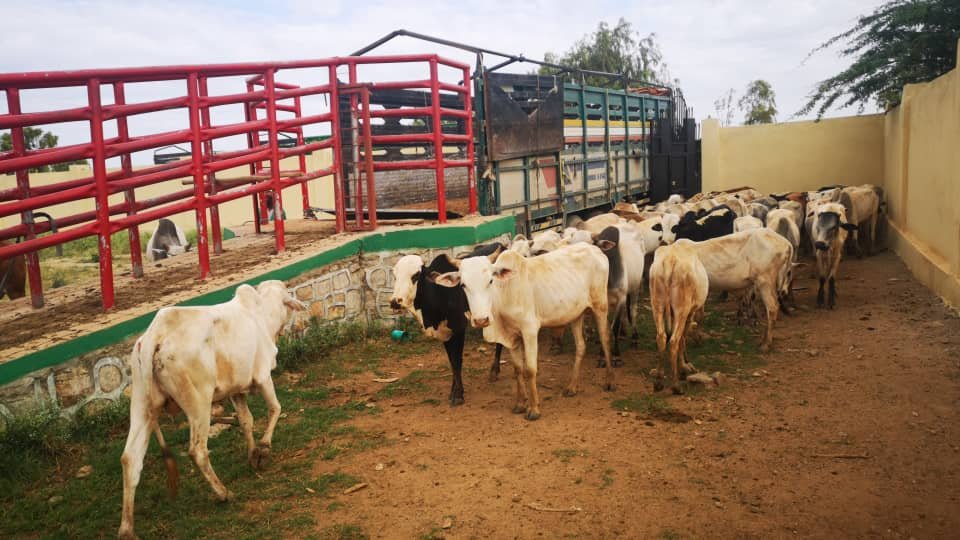 whatsapp image 2026 02 24 at 12.48.15 am