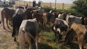 whatsapp image 2026 02 24 at 12.48.17 am