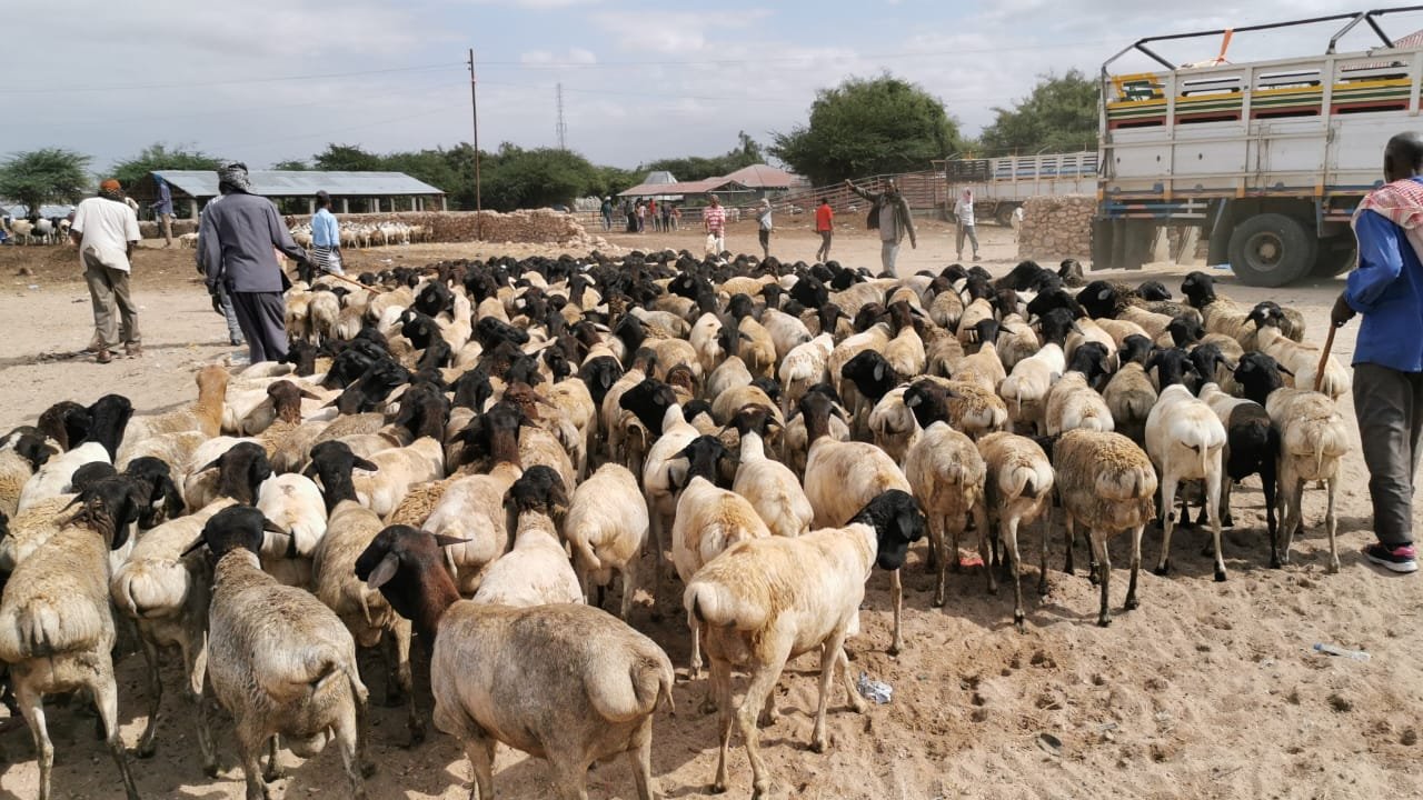 whatsapp image 2026 02 24 at 12.51.32 am (2)